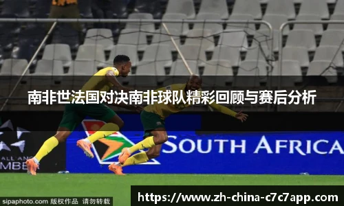 南非世法国对决南非球队精彩回顾与赛后分析
